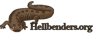 Hellbenders